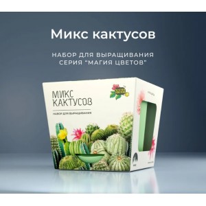 Набор для выращивания растений Премиум «Кактусы микс»