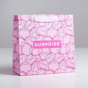 Пакет подарочный с котиками Surprise 22 × 22 × 11 см